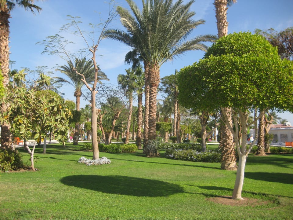 Garten The Grand Hotel Hurghada