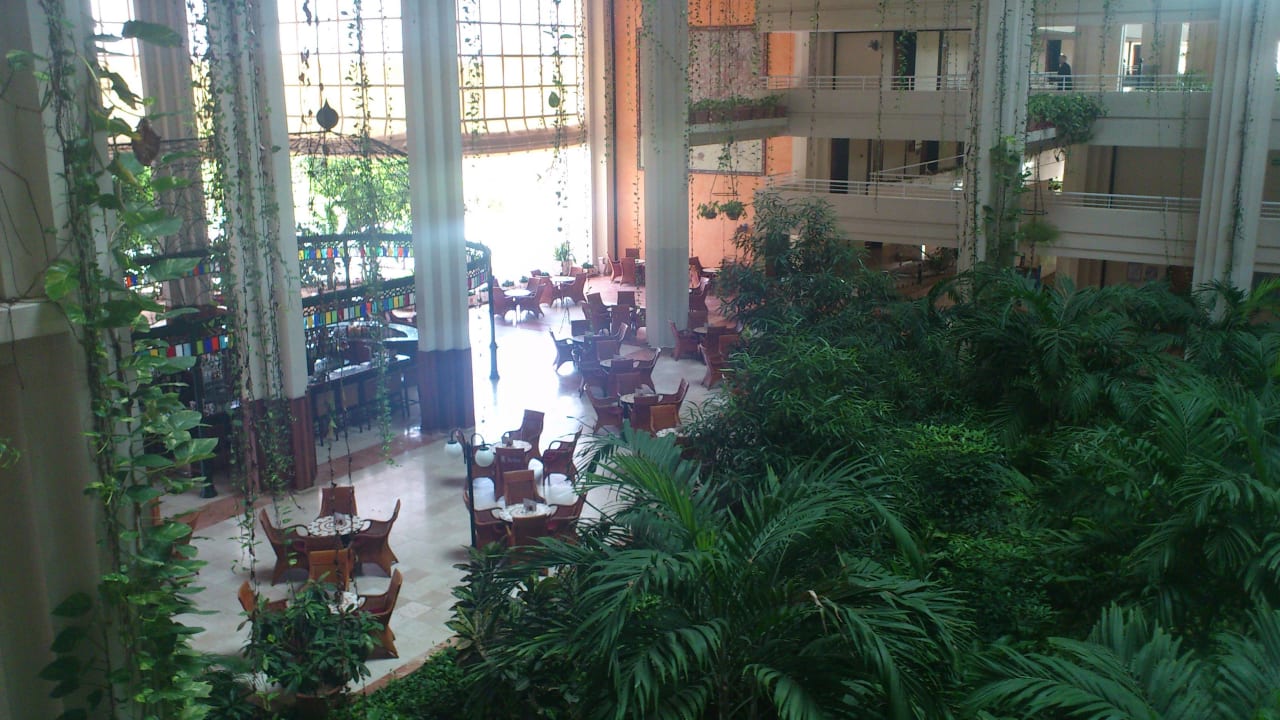 Blick auf die Bar  Blau varadero - Adults only