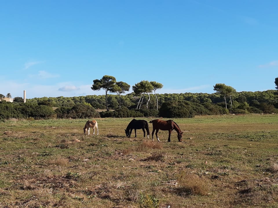 Sport & Freizeit Welikehotel Marfil Playa