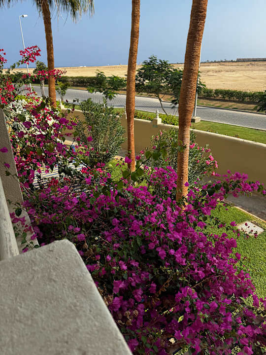Gartenanlage Marina Lodge At Port Ghalib