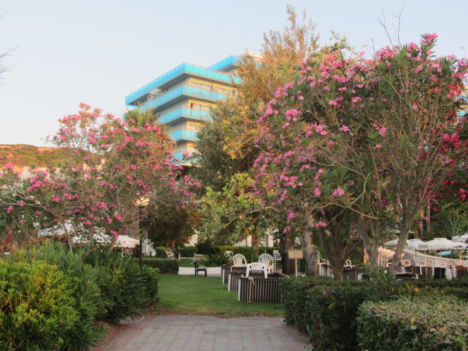 Gartenanlage Hotel Calypso Beach