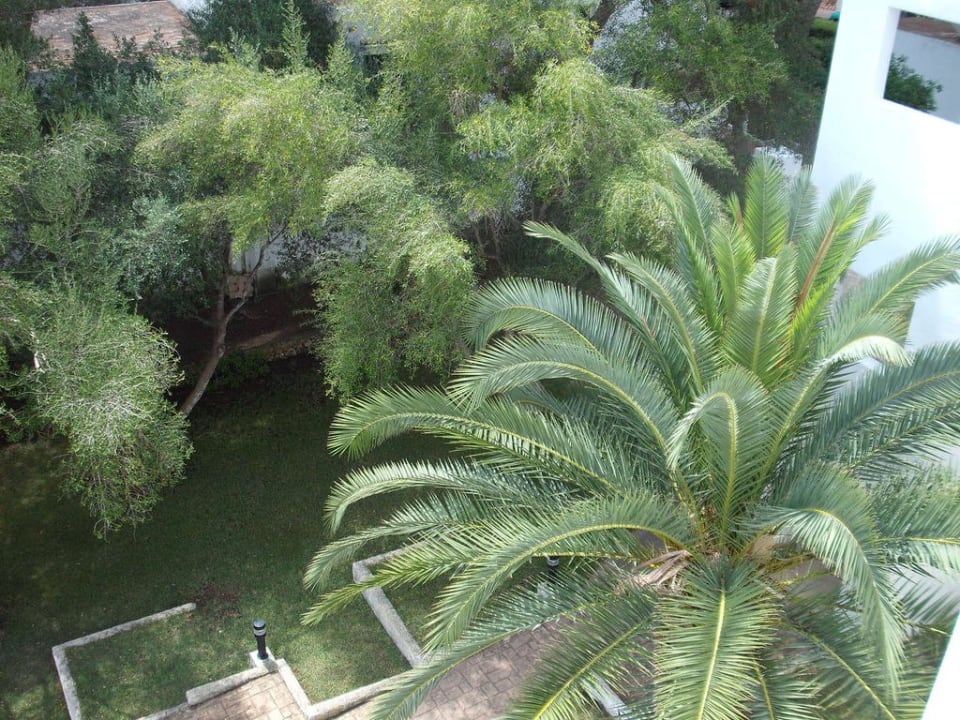 Blick von unserm Zimmer auf die Gartenanlage Gavimar Cala Gran Costa del Sur