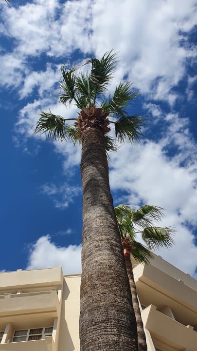 Pool Nerton Hotel - Erwachsenenhotel ab 16 Jahren