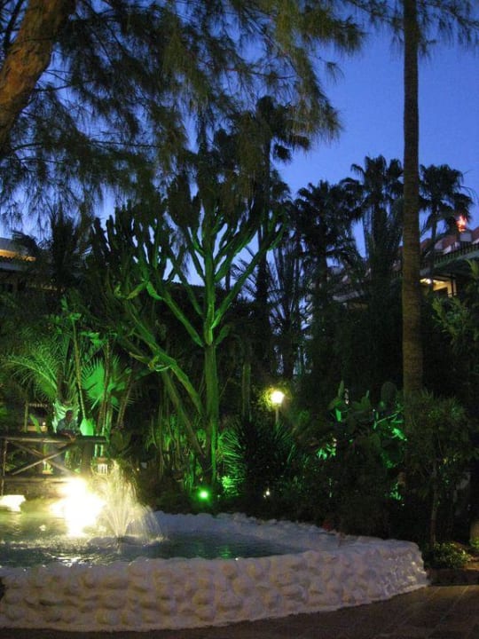 Brunnen an der Poolbar Hotel Parque Tropical