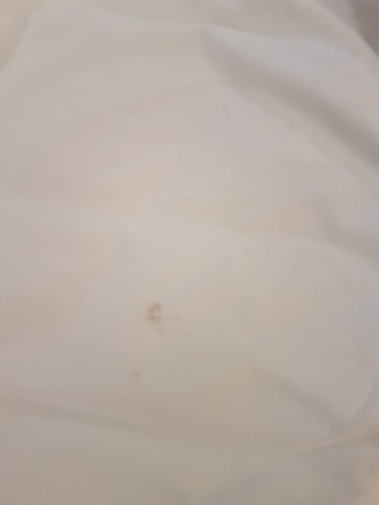 Zimmer Hotel Nesrine