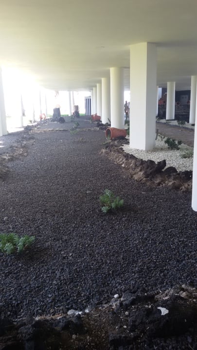 Gartenanlage Melia La Palma Hotel