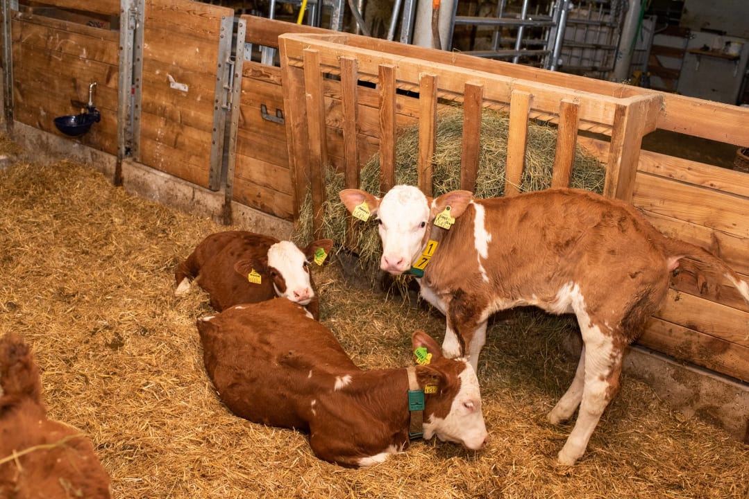 Sonstiges Hotel Taxerhof