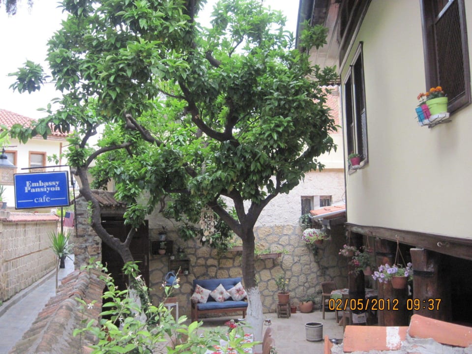 Nice view with the orange trees.... Pension Embassy