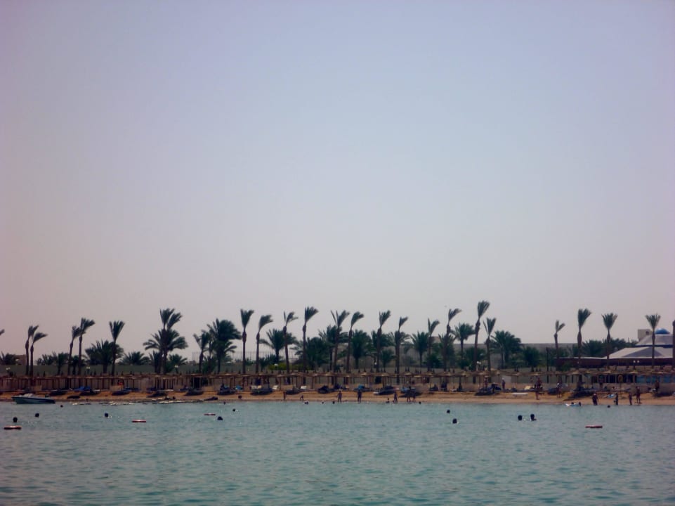 Alles superschön gepflegt Pickalbatros Dana Beach Resort - Hurghada