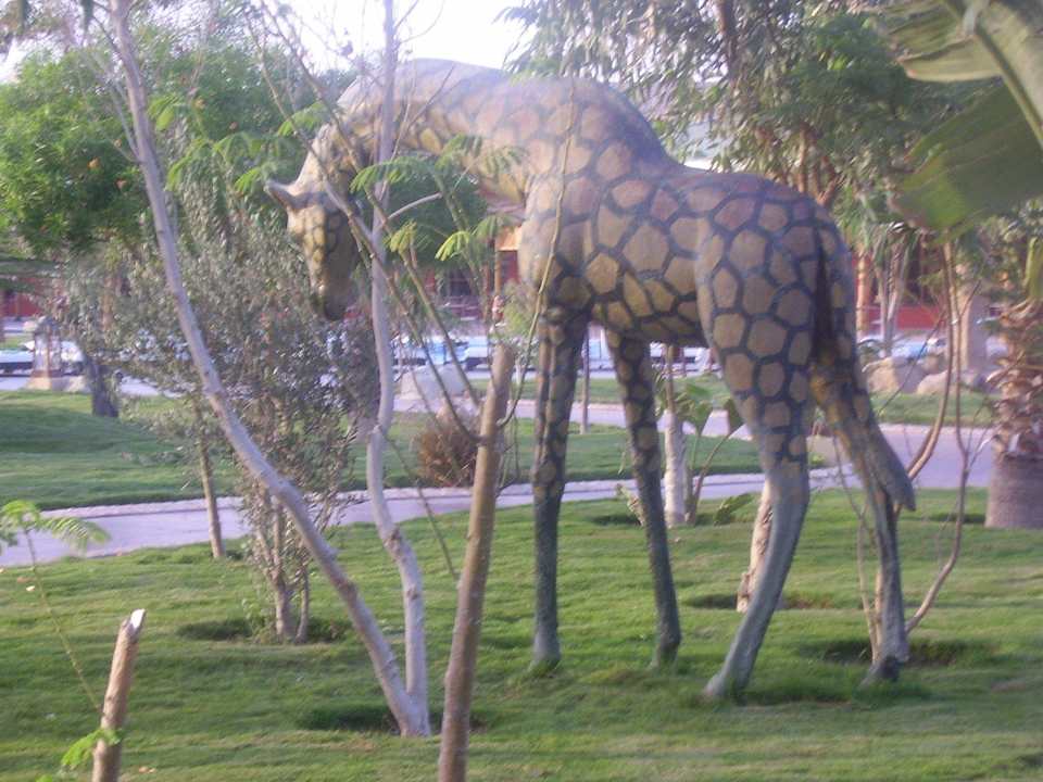Verschiedene Tiere in Gartenanlage Pickalbatros Jungle Aqua Park Resort - Neverland Hurghada