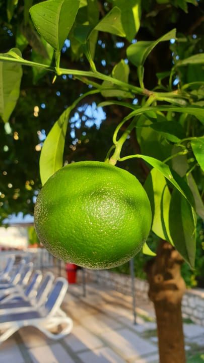 Gartenanlage Hotel Antico Monastero