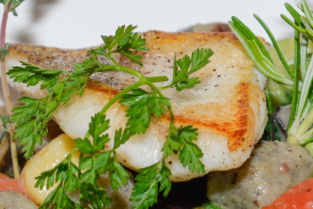 Gastro Goldene Traube