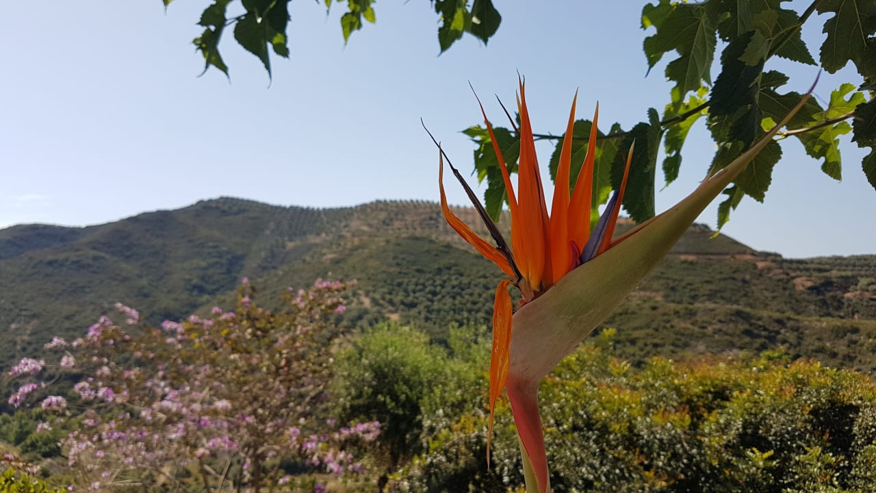 Ausblick Anemos Luxury Grand Resort