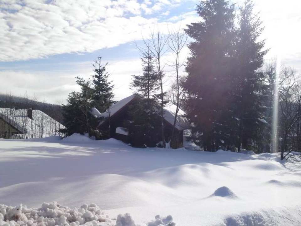 Blick von hinten auf die Alm Montara Suites Bodenmais