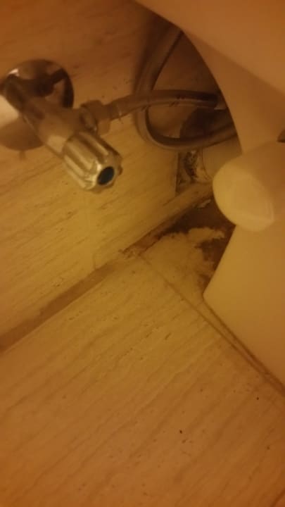 Zimmer Coral Hills Resorts & SPA