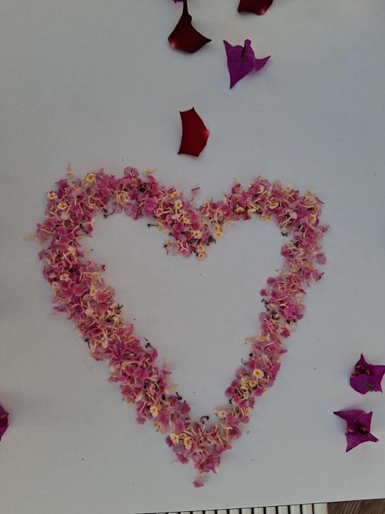 Gastro Sun Beach Park & Spa