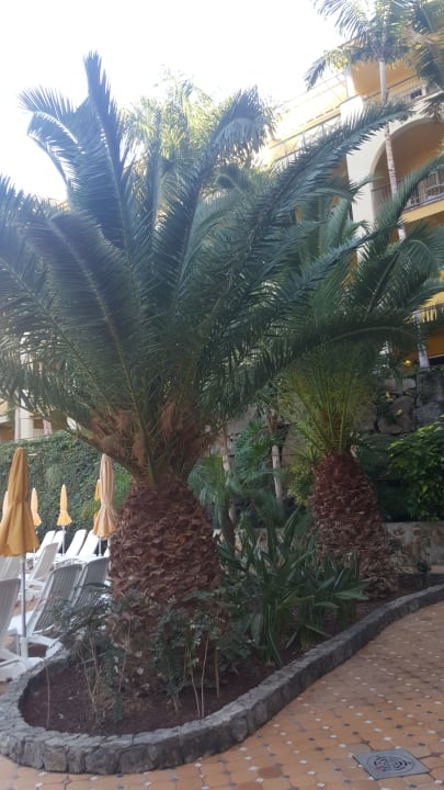 Außenansicht Hotel Cordial Mogán Playa