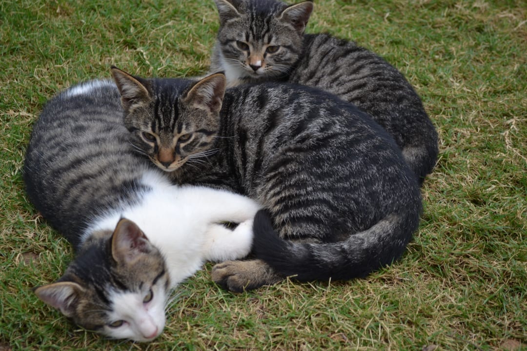 Soo süß Hotel Delphin Imperial