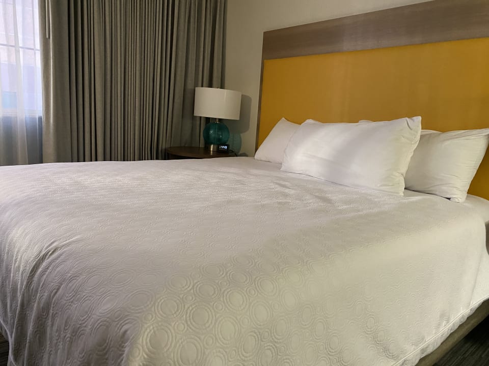 Zimmer Home2 Suites by Hilton Atlanta Midtown