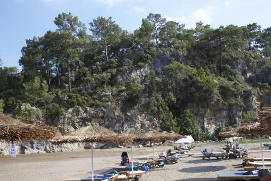 Liegen und Schirme ohne Ende TUI BLUE Seno - Adults Only