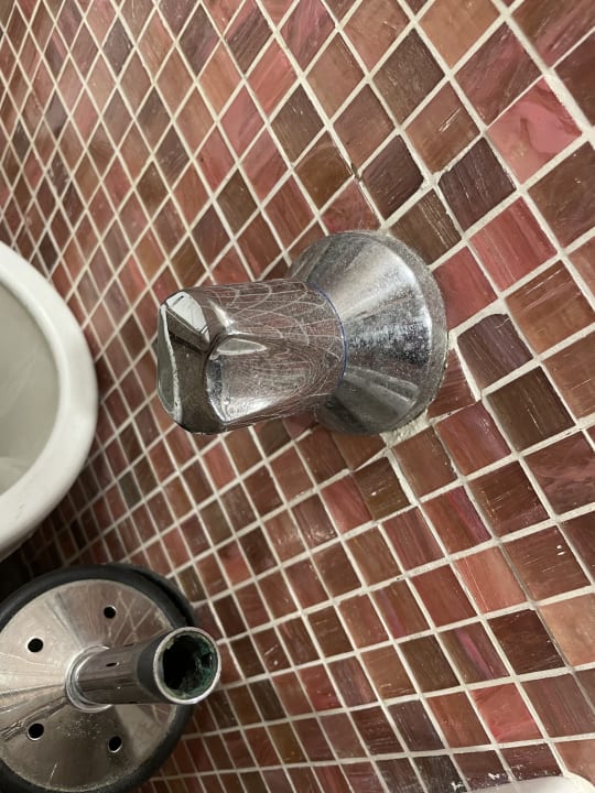 Zimmer Asteria Family Belek