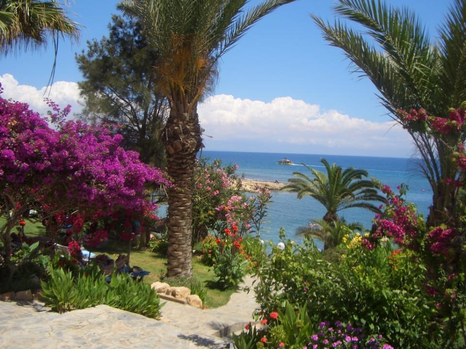 Gartenmeerblick Crystal Springs Beach Hotel