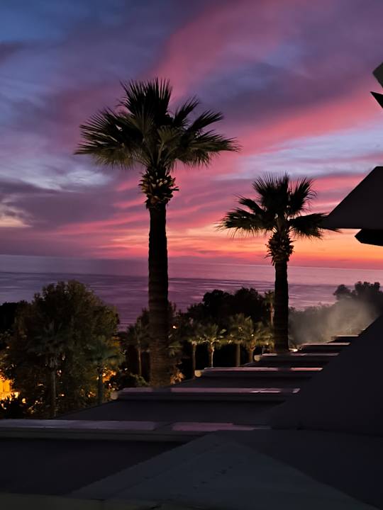 Gartenanlage Side Star Elegance