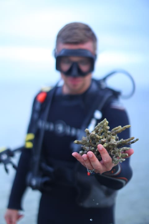 Sport & Freizeit Beach Safari Nubian Resort