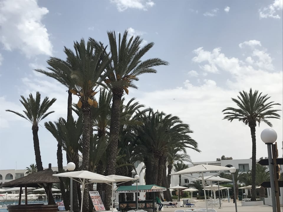 Pool El Mouradi Club Kantaoui