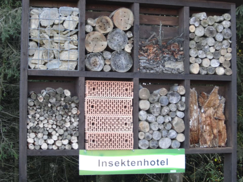 Insektenhotel auf dem Lernpfad - Kappe Hapimag Resort Winterberg