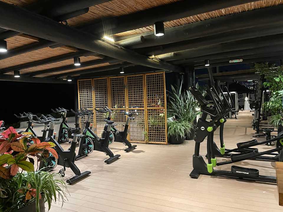 Sport & Freizeit Dreams Jardín Tropical