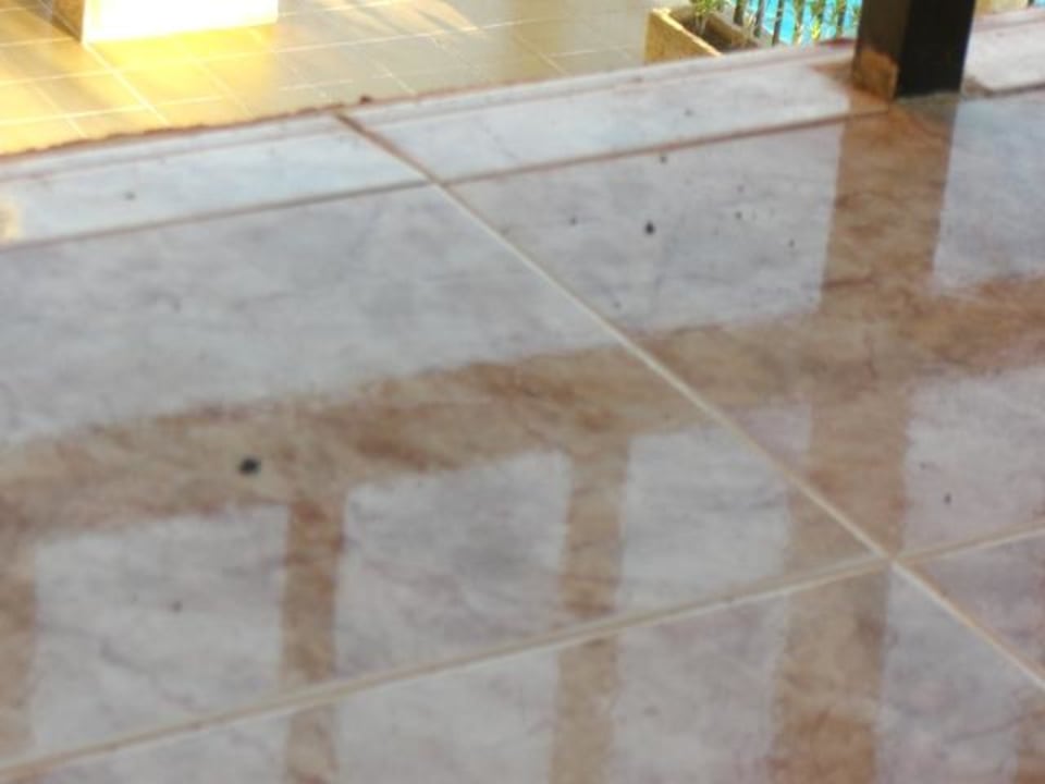 Zigarettenasche auf dem Balkon nach der Reinigung HSM Canarios Park