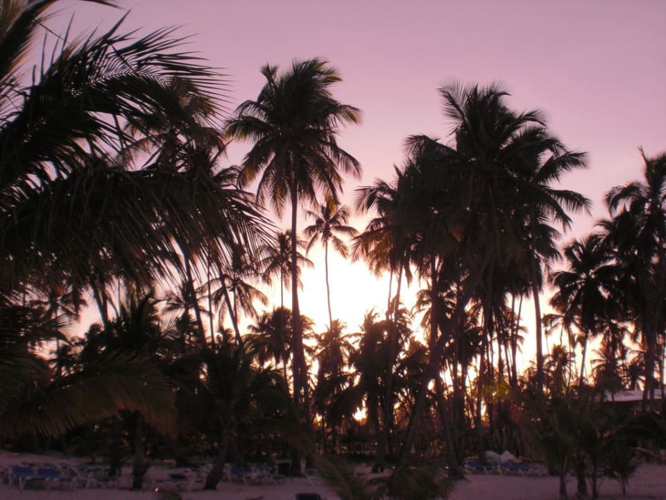 Sonnenuntergang Villas Bavaro Resort & Spa