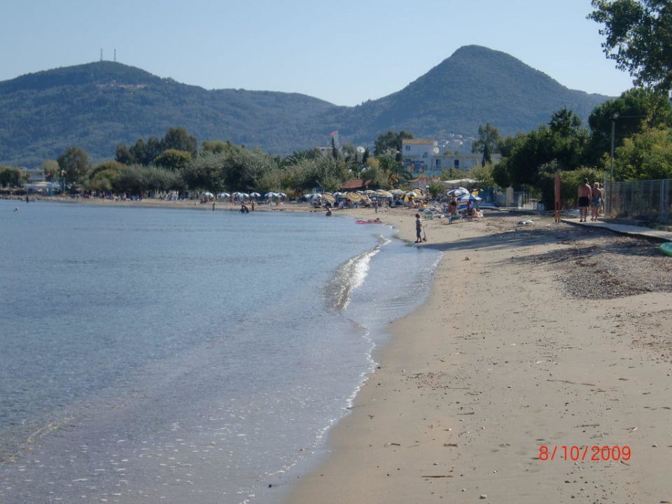 Strand links vom Hotel Hotel Albatros