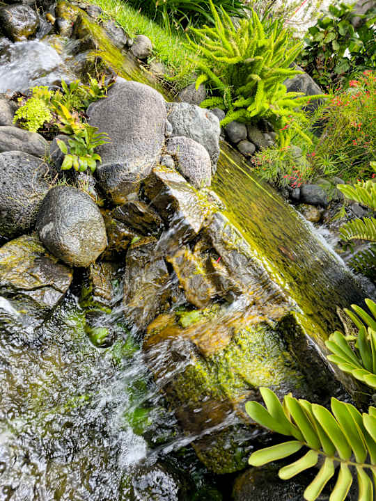 Gartenanlage allsun Hotel Lucana