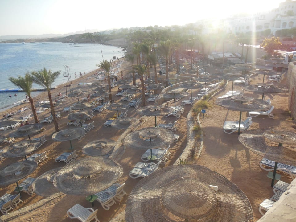 Widok na plażę Hotel Continental Plaza Beach