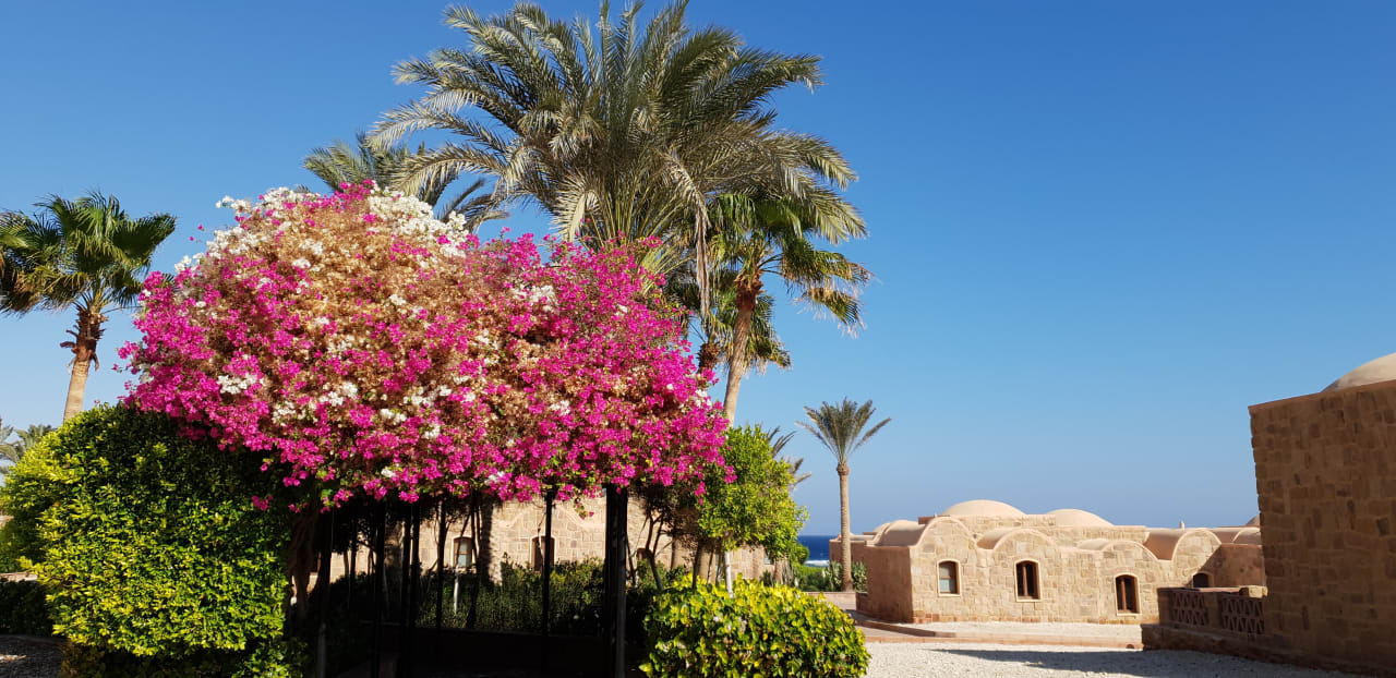 Gartenanlage Mövenpick Resort El Quseir