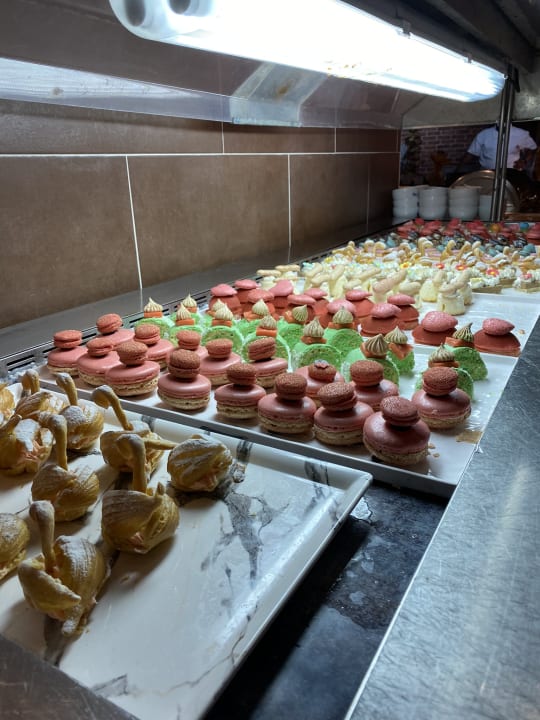 Gastro Blau varadero - Adults only