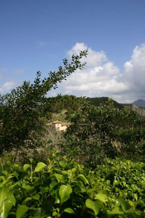 Son Bleda im Winter Hotel Corazon