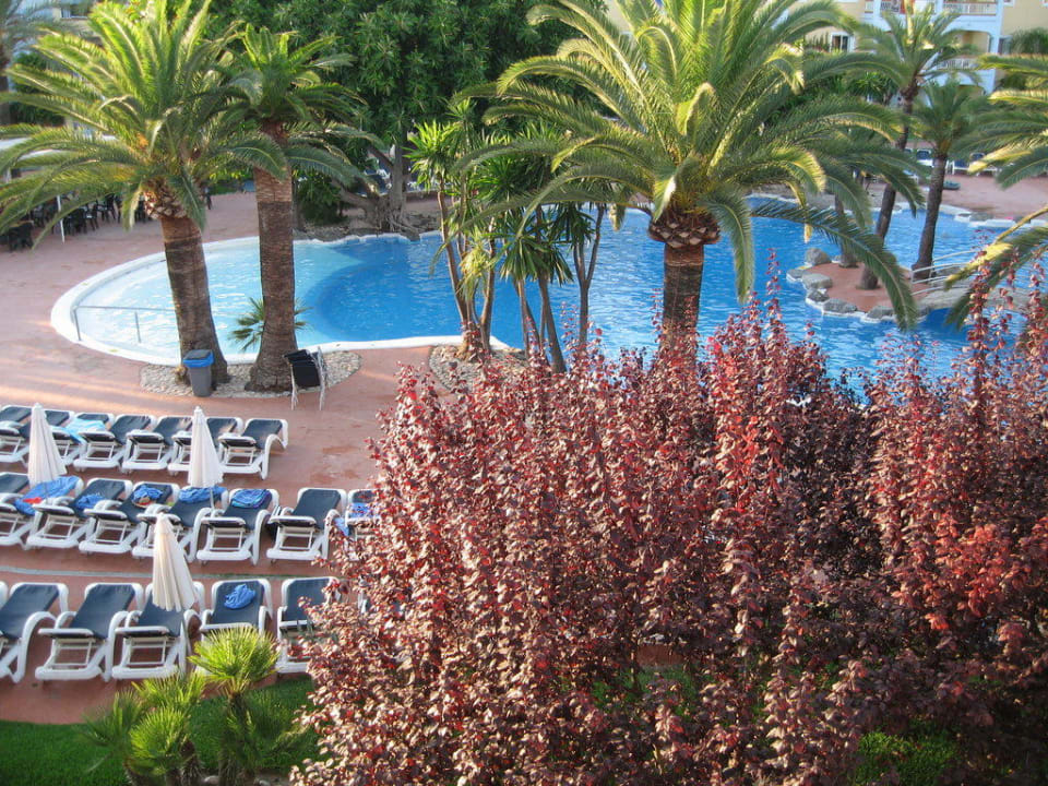 Pool/Gartenanlage (Balkonsicht) Alcudia Garden Aparthotel