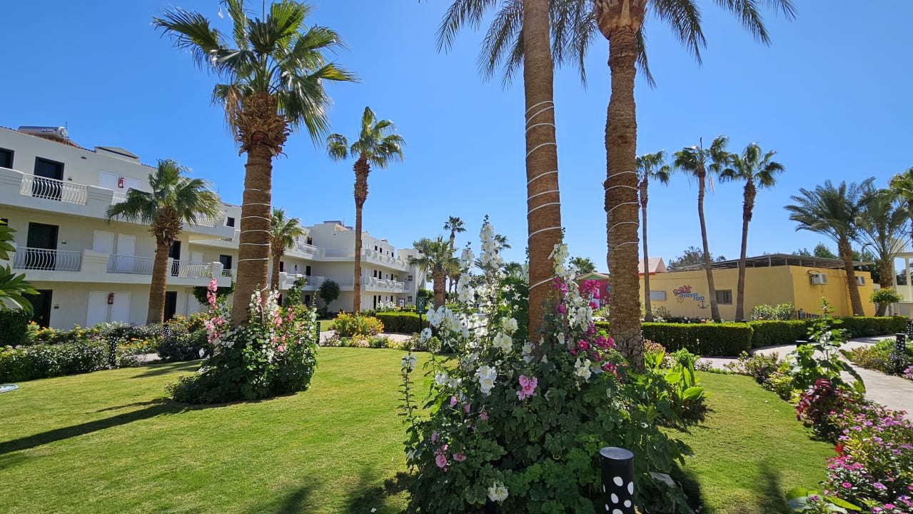 Gartenanlage Amarina Abu Soma Resort & Aquapark