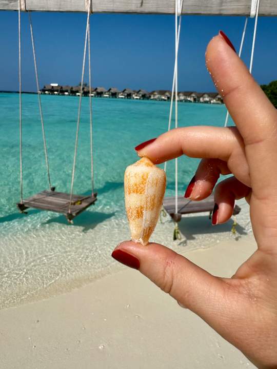 Strand Furaveri Maldives