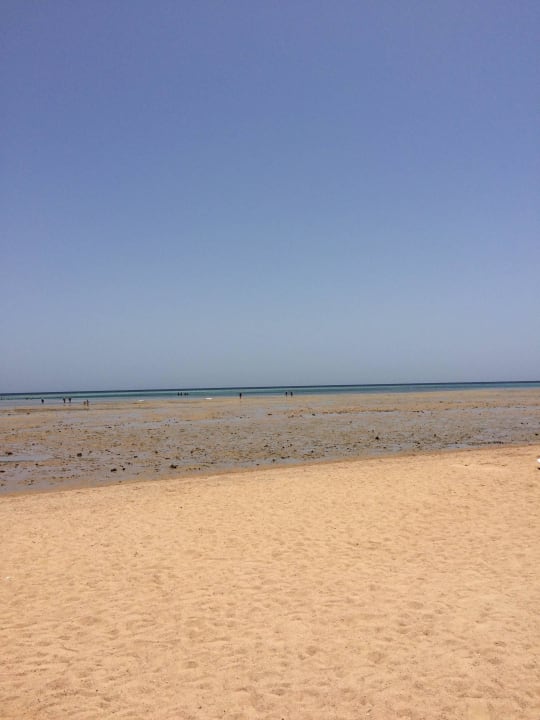 Утренний отлив Stella Garden Resort & Spa, Makadi Bay