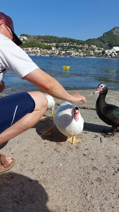 Strand Hotel Los Geranios
