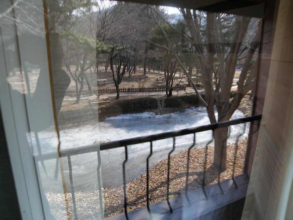 Vista desde la ventana Nami Island Hotel