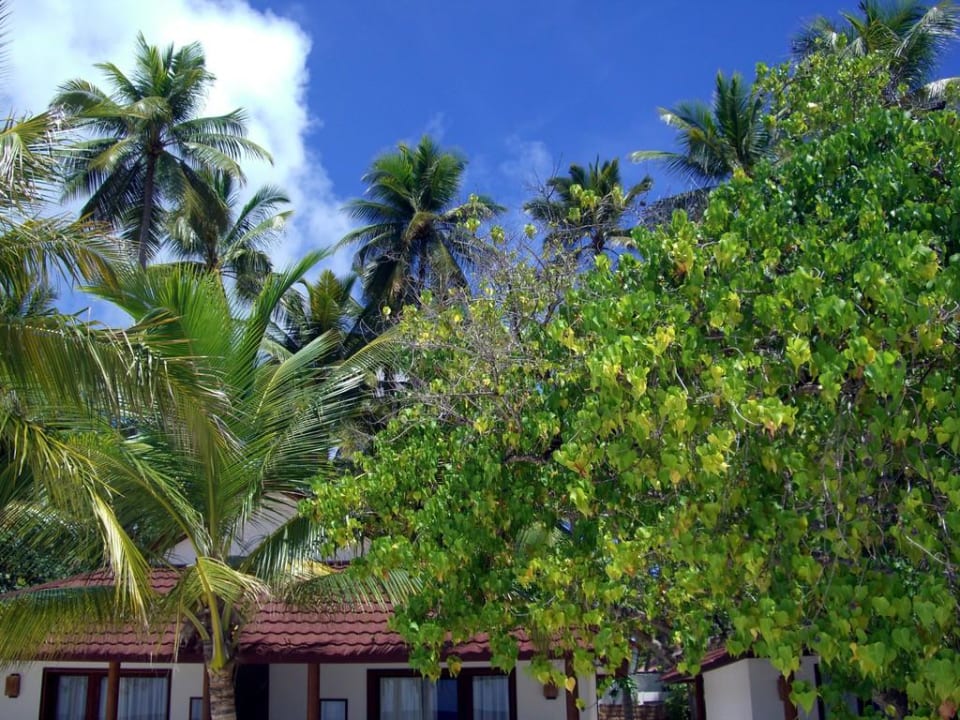 Beachbungi Diamonds Thudufushi