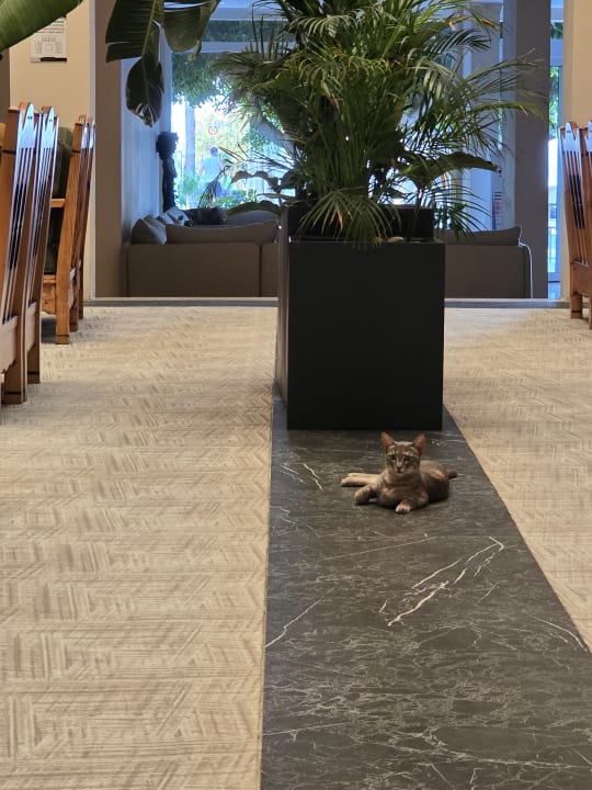 Sonstiges Nerton Hotel - Erwachsenenhotel ab 16 Jahren