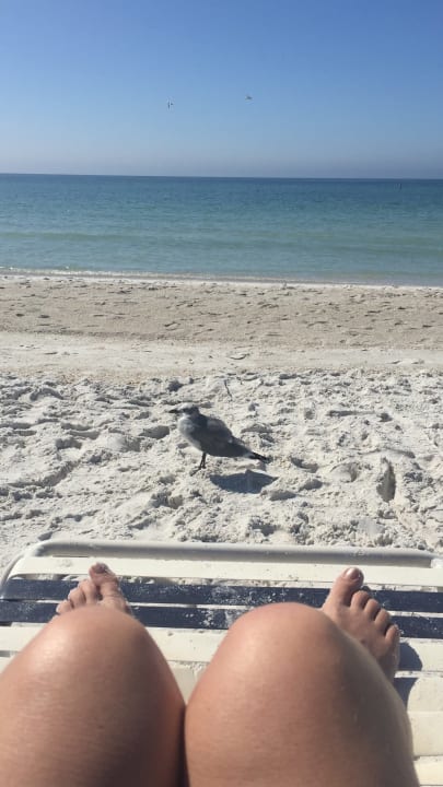 Strand Hotel Silver Surf