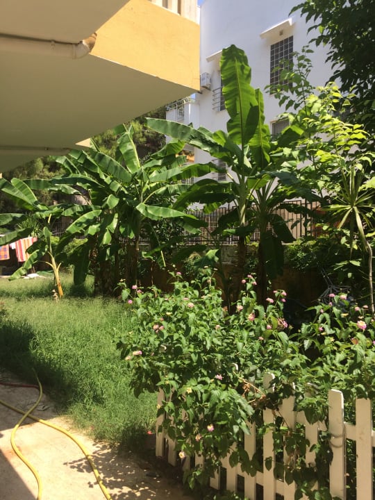 Gartenanlage Hotel Benna