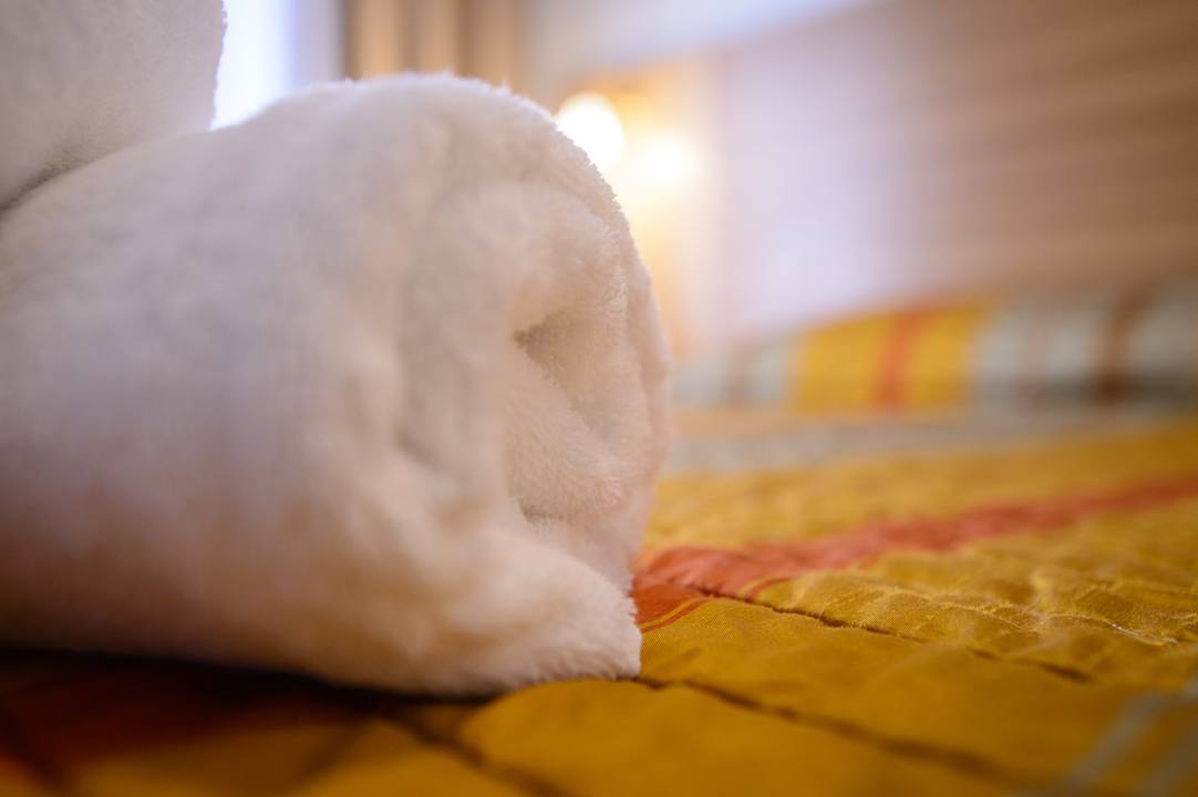 Zimmer Apanemia by Flegra